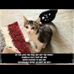 This is Isabella. She is priceless.